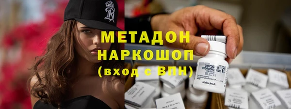 PSILOCYBIN Алзамай