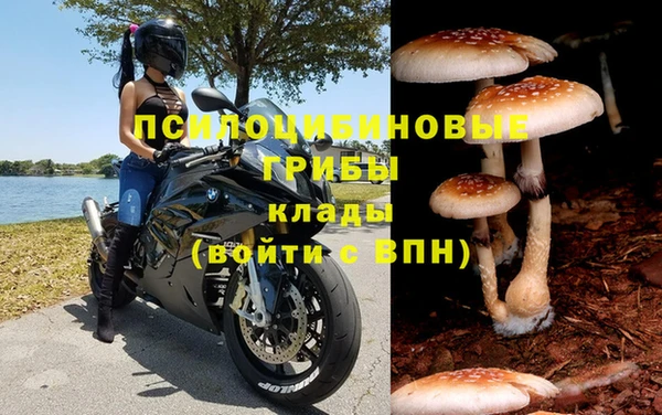 ПСИЛОЦИБИНОВЫЕ ГРИБЫ Алексеевка