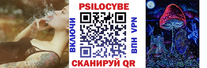 Псилоцибиновые грибы ЛСД  где купить наркоту  Стародуб 